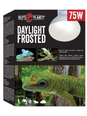REPTI PLANET Daylight FROSTED lempa, 75 W 